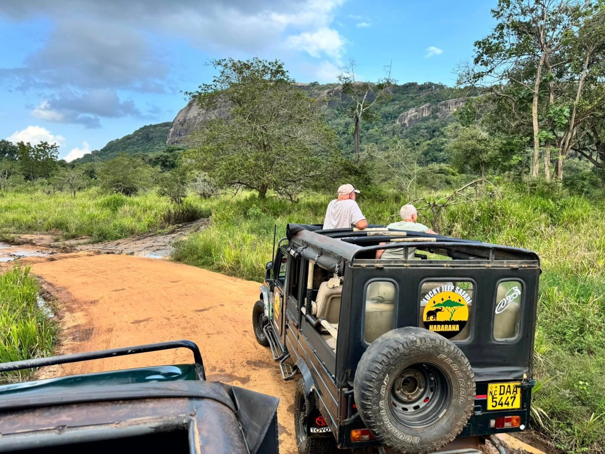 Saturday, February 3rd 2024 – The elephant in the&nbsp;room