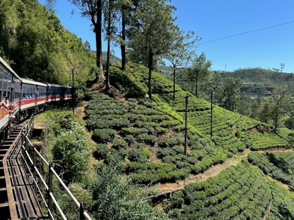 Wednesday, February 7th 2024 – Train ride to the hill&nbsp;country